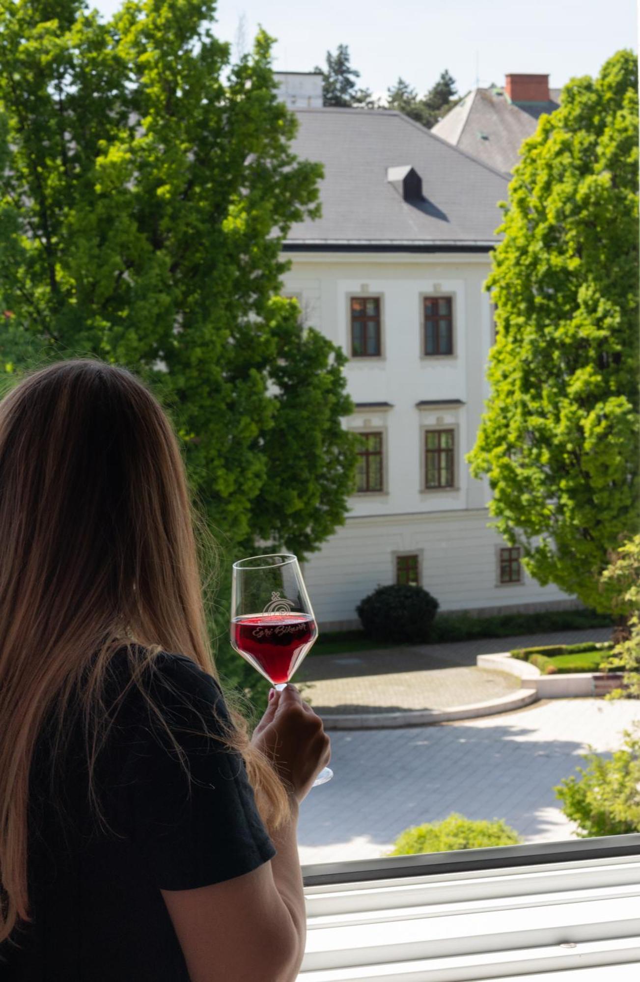 Suzy Apartman Eger Exteriér fotografie